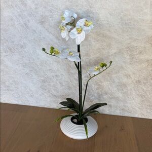 Vickerman 25" Faux White Orchid, White Ceramic Container, NEW